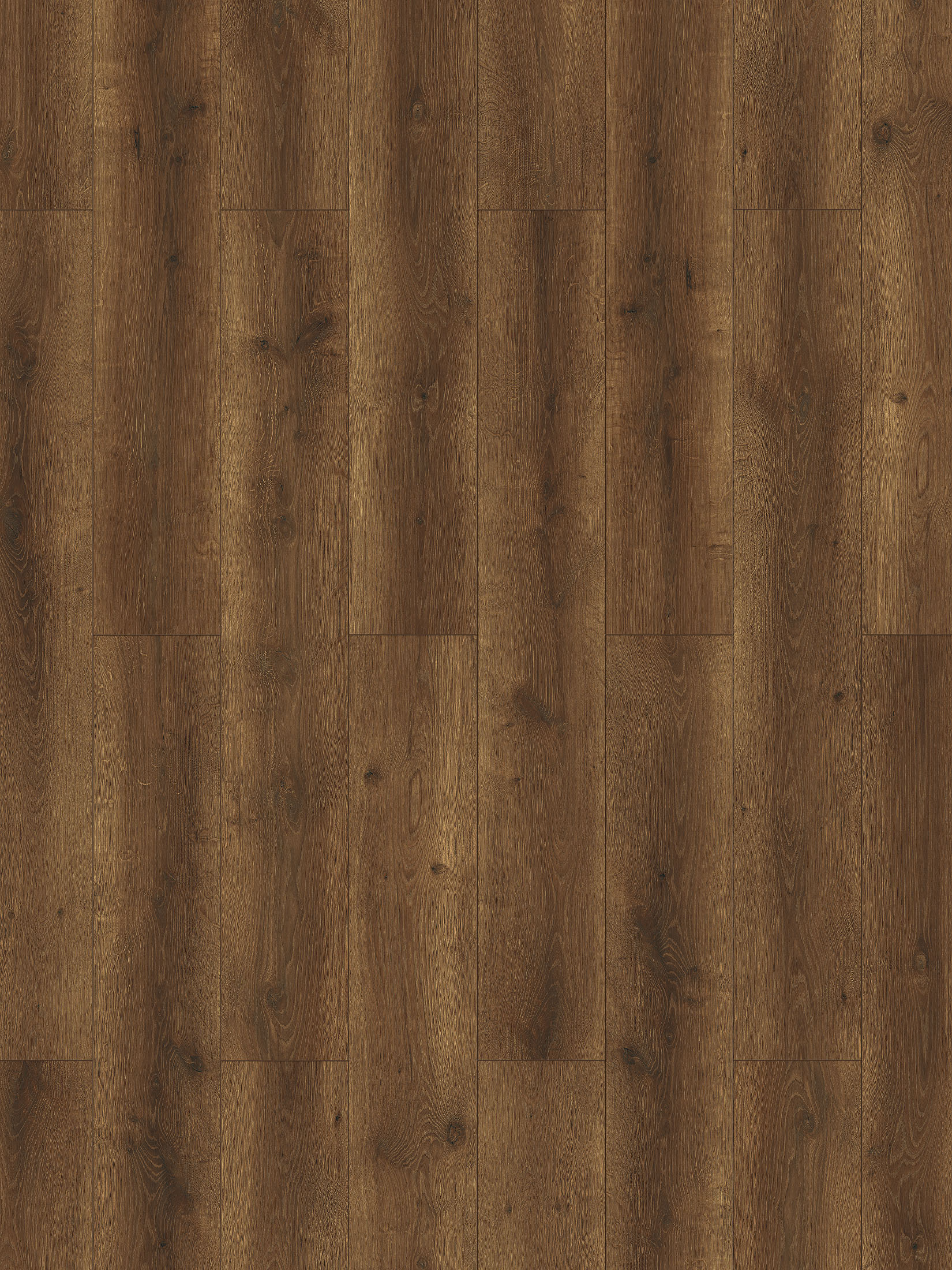 Cottage Klick-Laminat, Timeless Oak 65423