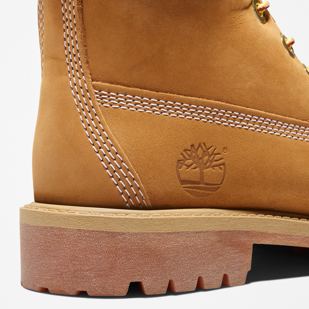Timberland 6 Inch Premium Junior Boot TB0129097131 / braun