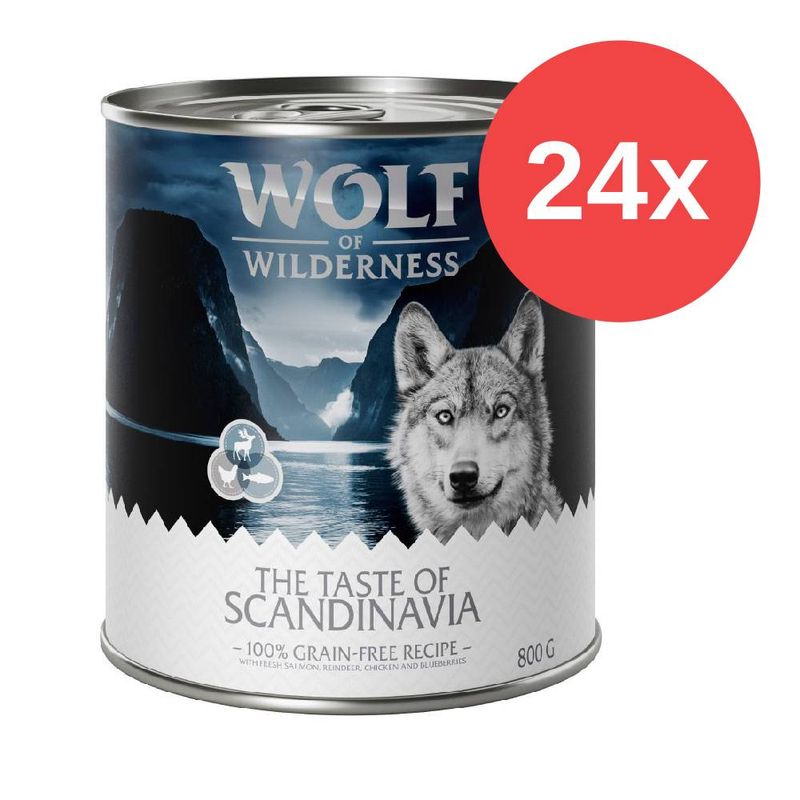 Sparpaket Wolf of Wilderness 'The Taste Of' 24 x 800 g