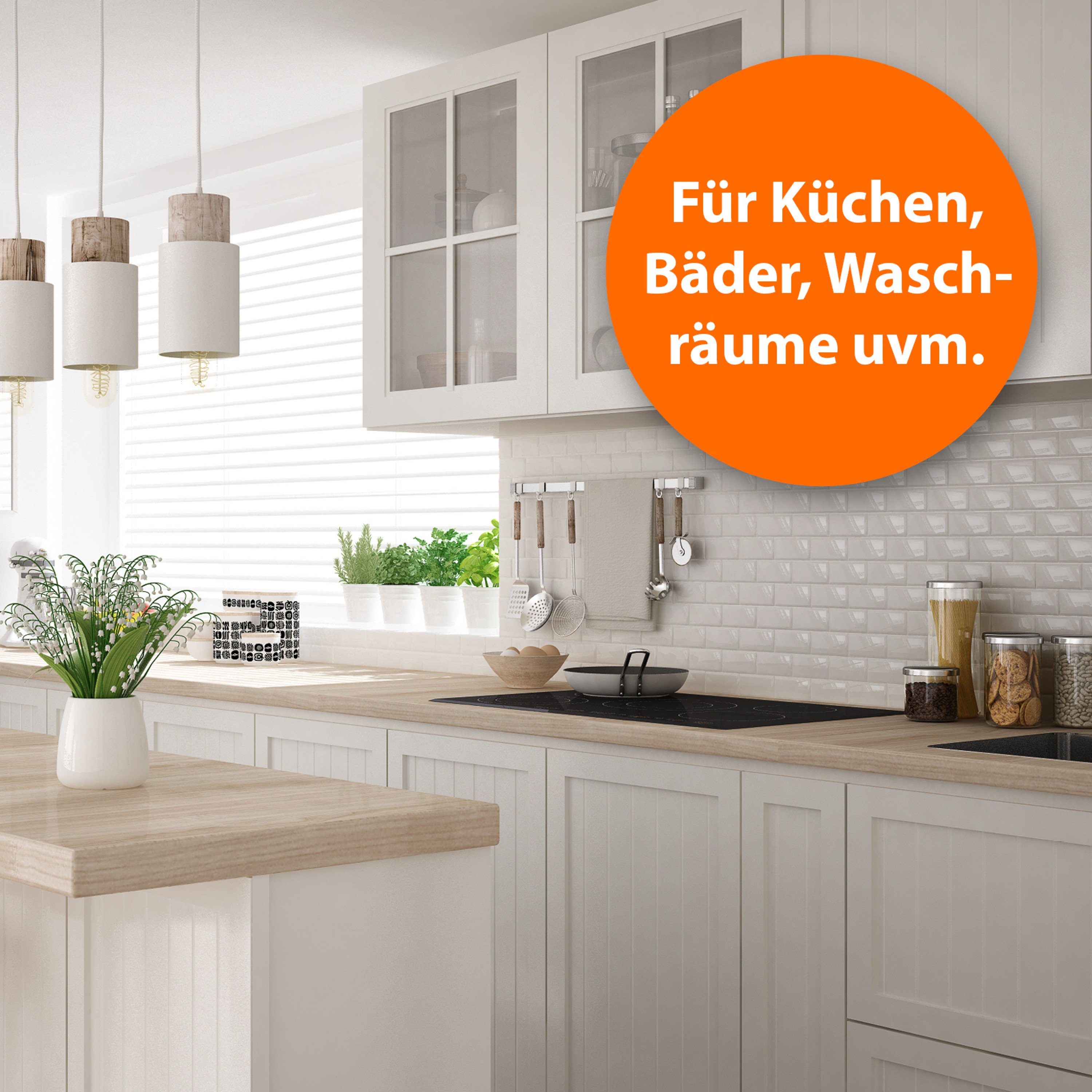 Ardap Insektenspray ARDAP Silberfischchen Zerstäuber 500ml Pumpspray