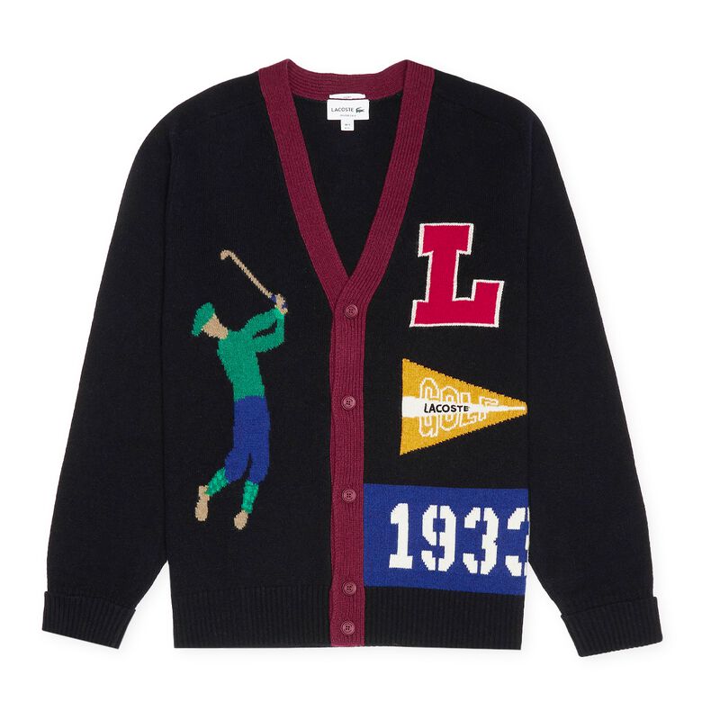 Lacoste Sweater navy/multicolor