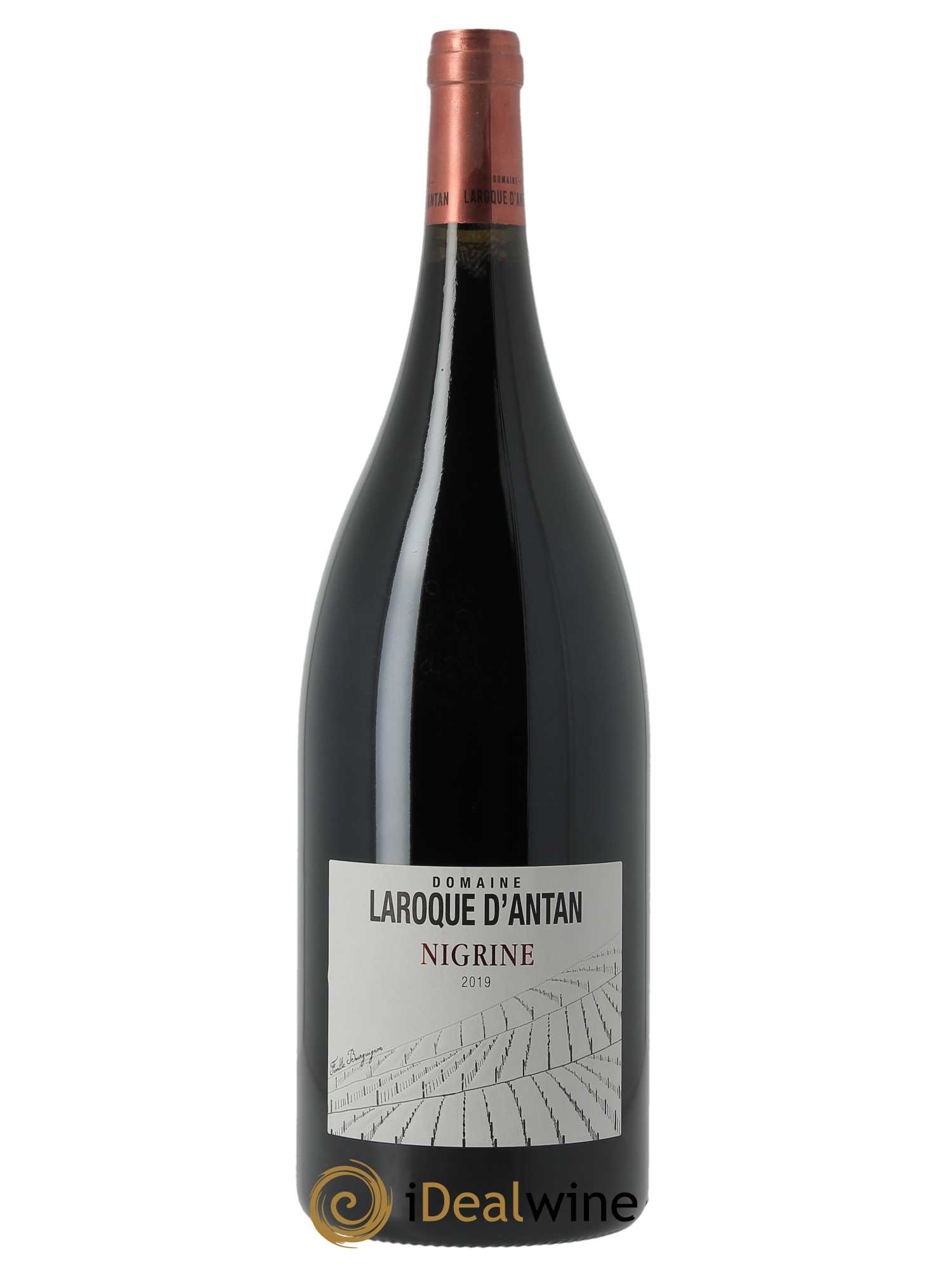 Côte du Lot Nigrine Laroque d'Antan (Domaine)  2019 - Lot de 1 Magnum
