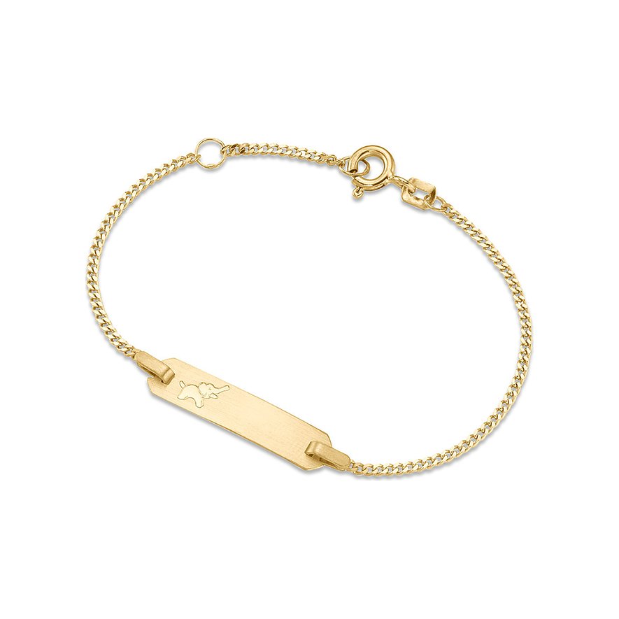 FAVS I.D.-Armband