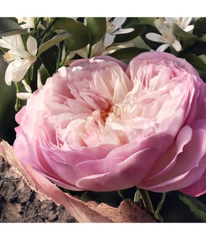 Chloé Rose Naturelle Eau de Parfum 50 ml