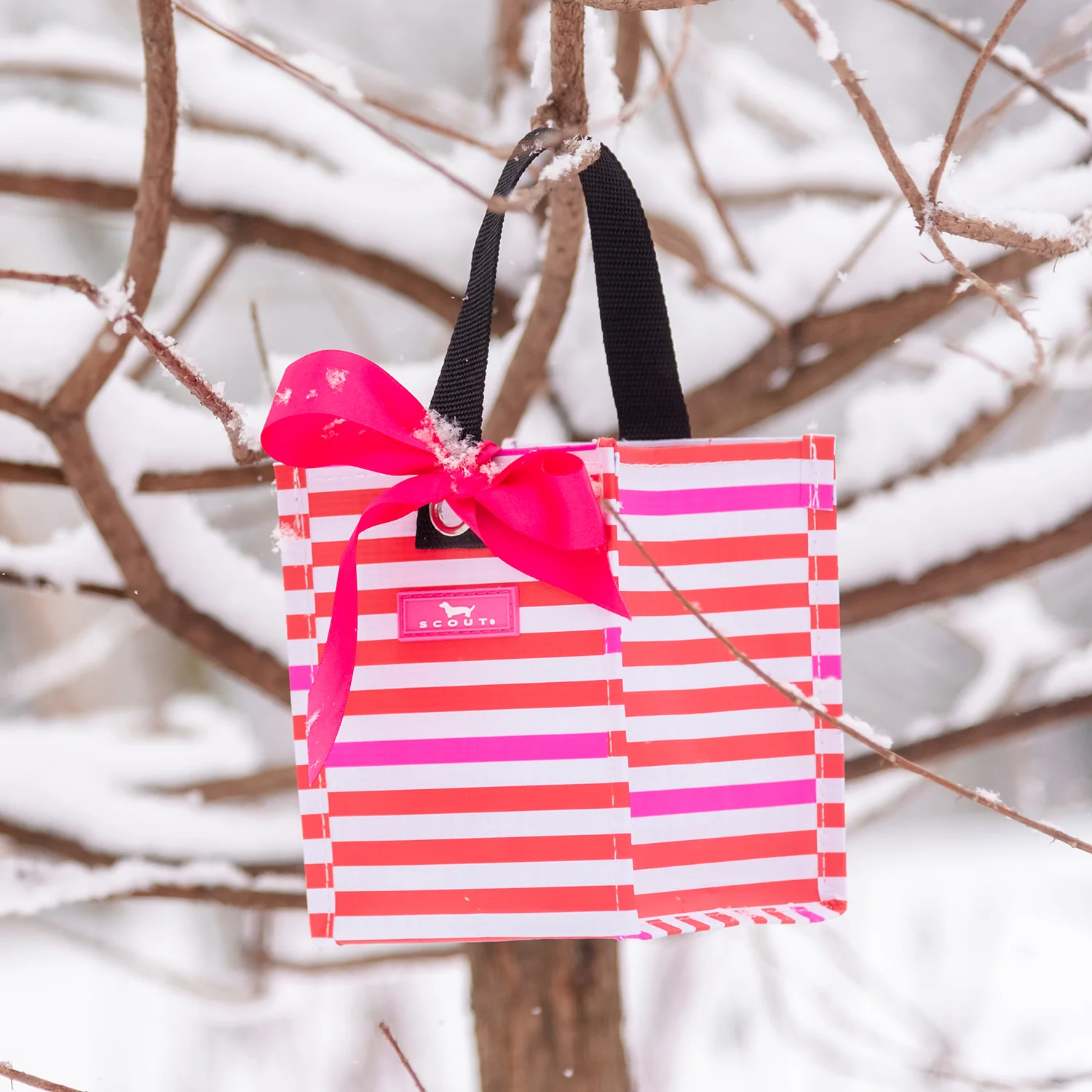 Gift Bag X-Small Mini Package