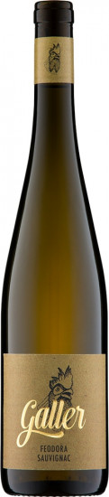 2021 FEODORA Sauvignac trocken Bio - Weingut Galler