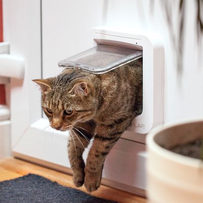 SureFlap Katzenklappe mit Chip