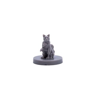 Animal Adventures: Cats of Gullet Cove