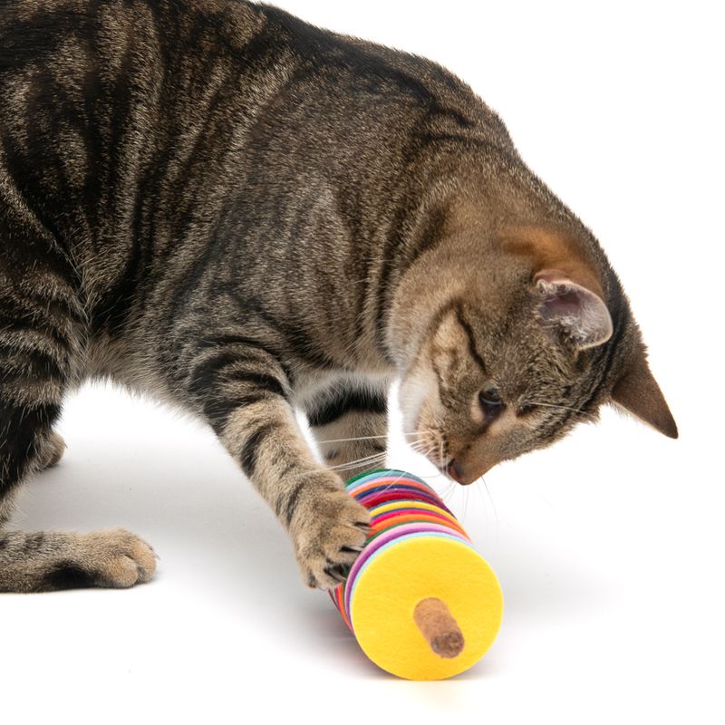 Katzenspielzeug Felton zu TOP-Preisen