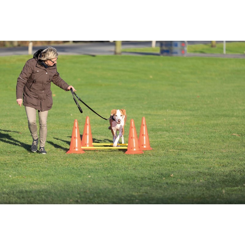 Trixie Agility & Training Trixie Dog Activity Hindernisse Ø30x50cm