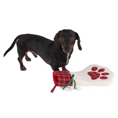 Weihnachtsstrumpf Pfote zum Sonderpreis!