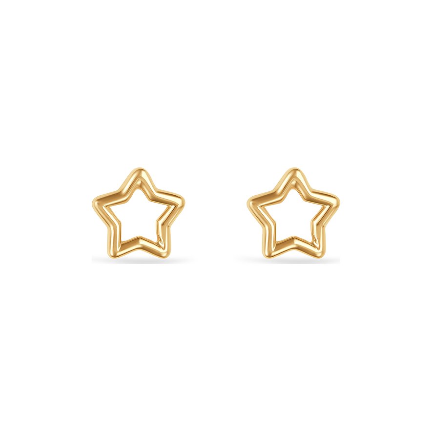 FAVS Ohrstecker