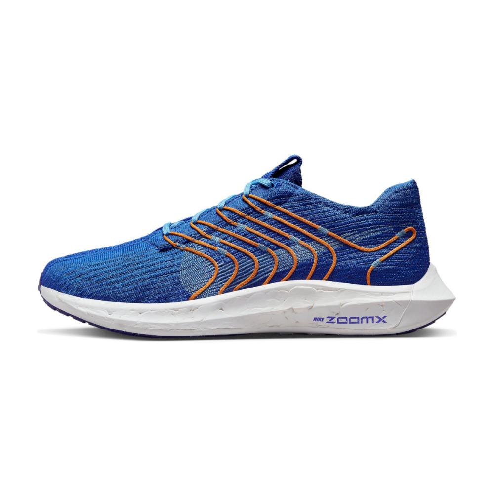 Nike Pegasus Turbo Next Nature FD0717-400 / blau