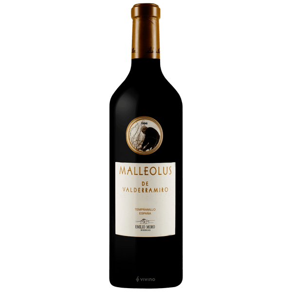 Emilio MoroMalleolus de Valderramiro 2019