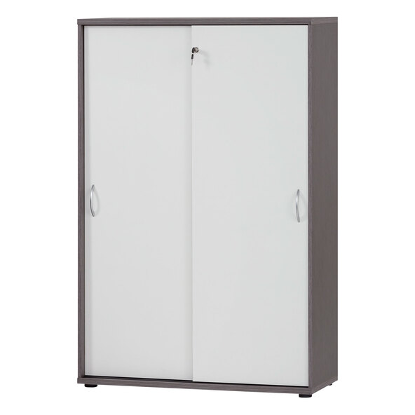 Serie 4000 Aktenschrank 4800, esche grau/weiß matt