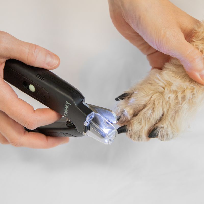 kooa 2-in-1 Krallenschere und -Schleifer mit LED
