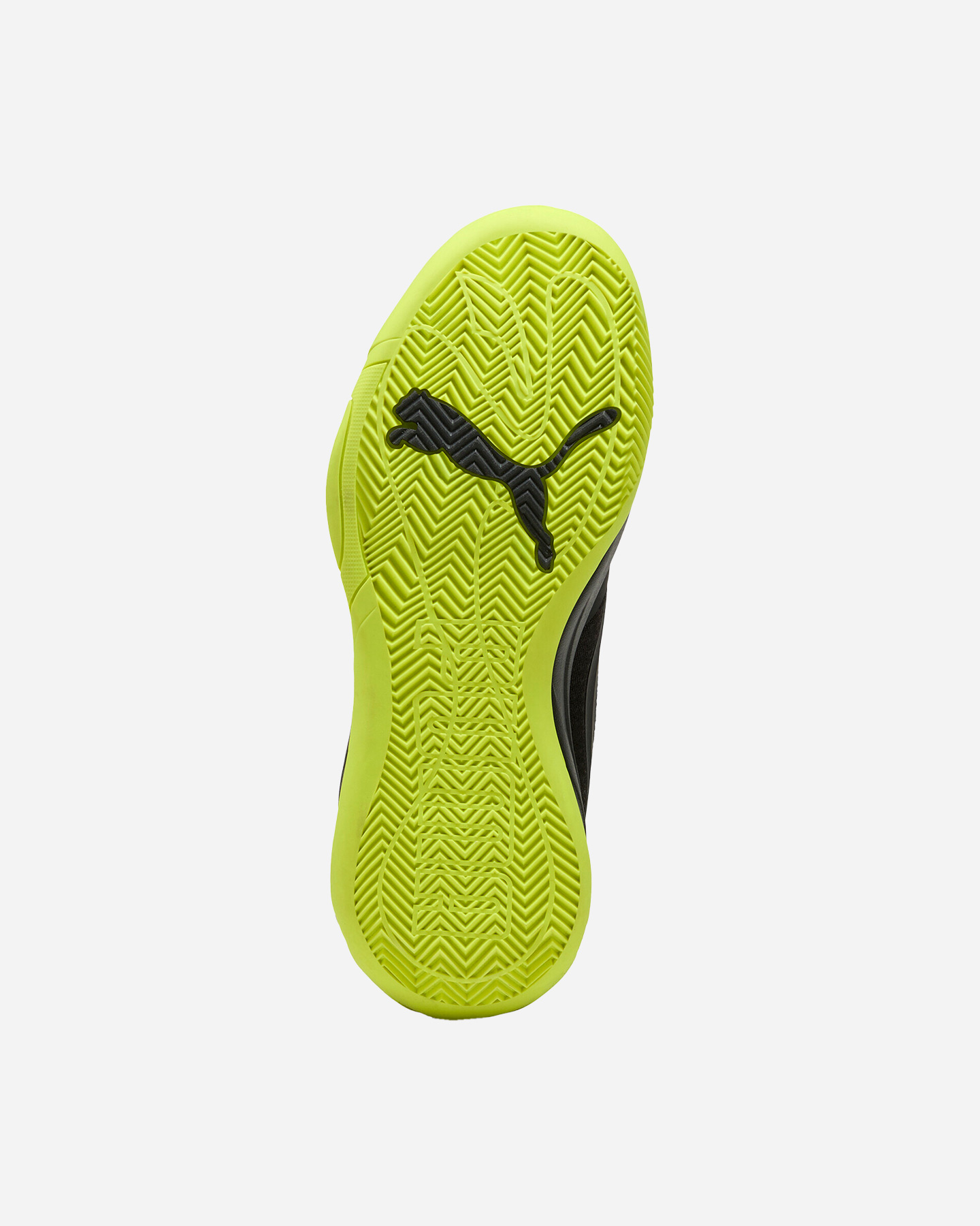 Buty do koszykówki Scarpe Puma Court Pro M 310829-03