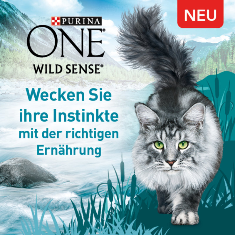 Purina ONE Trockenfutter Purina ONE Wild Sense Reich an Lachs 400 g