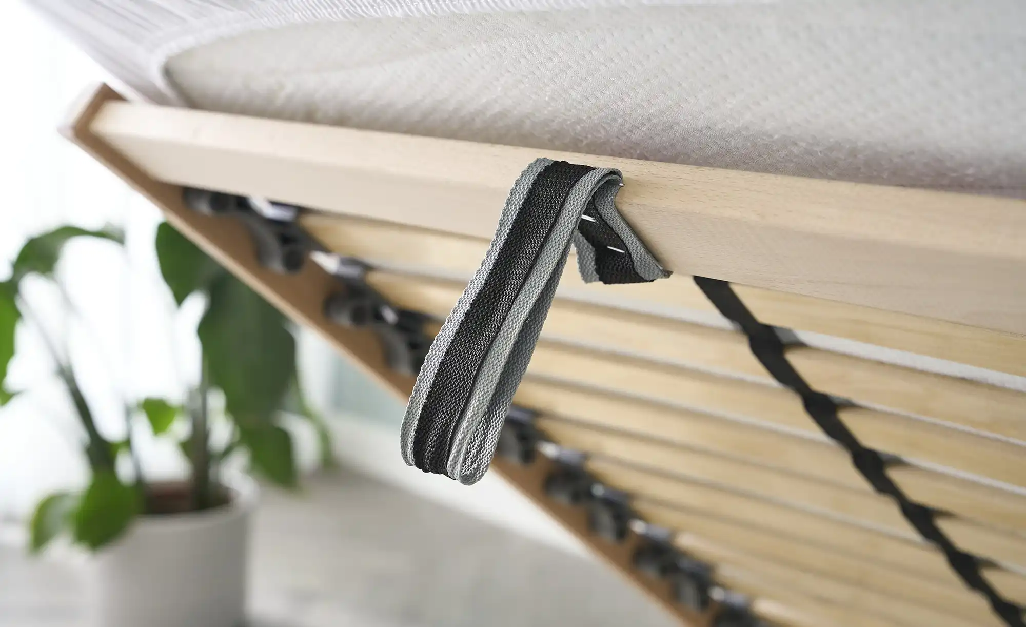 Polsterdoppelbett
