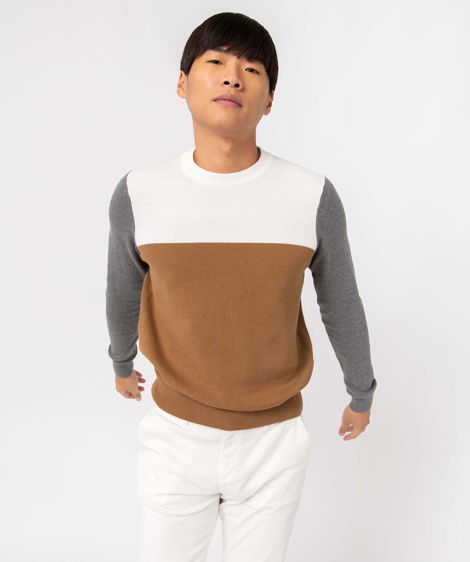Pull homme tricolore en coton beige fonce | GEMO