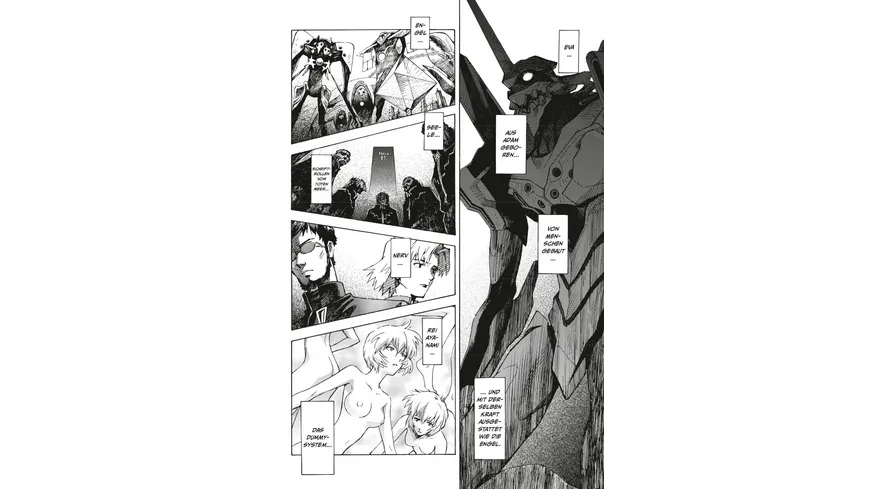 Neon Genesis Evangelion – Perfect Edition 6