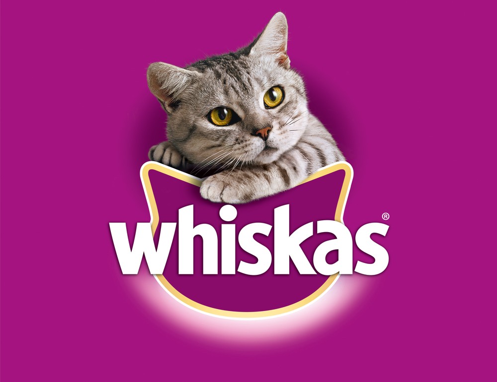 Whiskas Trockenfutter Beutel 1  mit Thunfisch 3,8kg