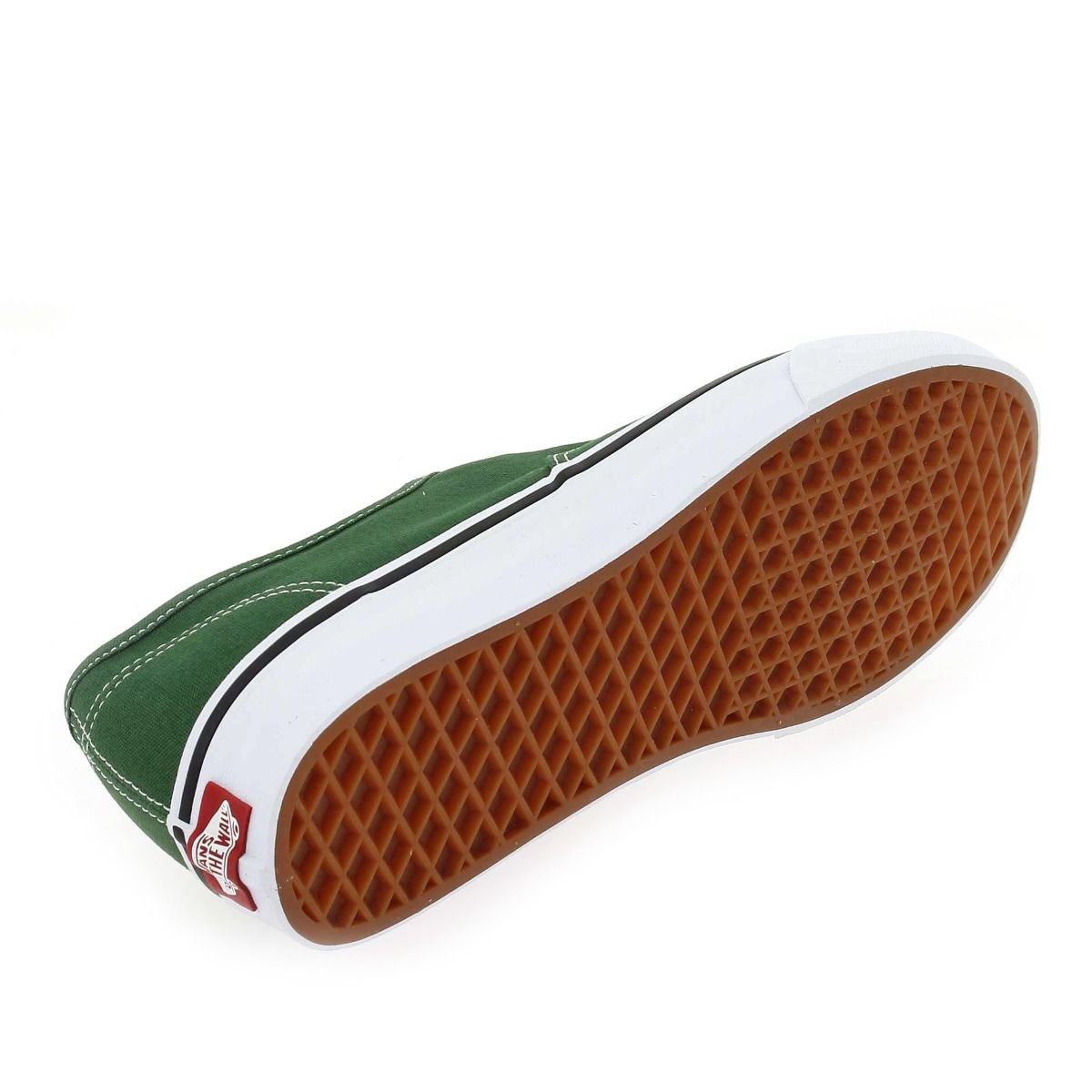 Vans  AUTHENTIC COLOR THEORY - Vert