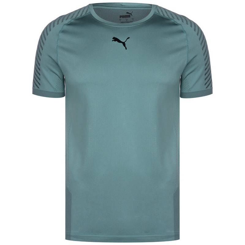 PUMA Train Formknit Seamless Funktionsshirt Herren