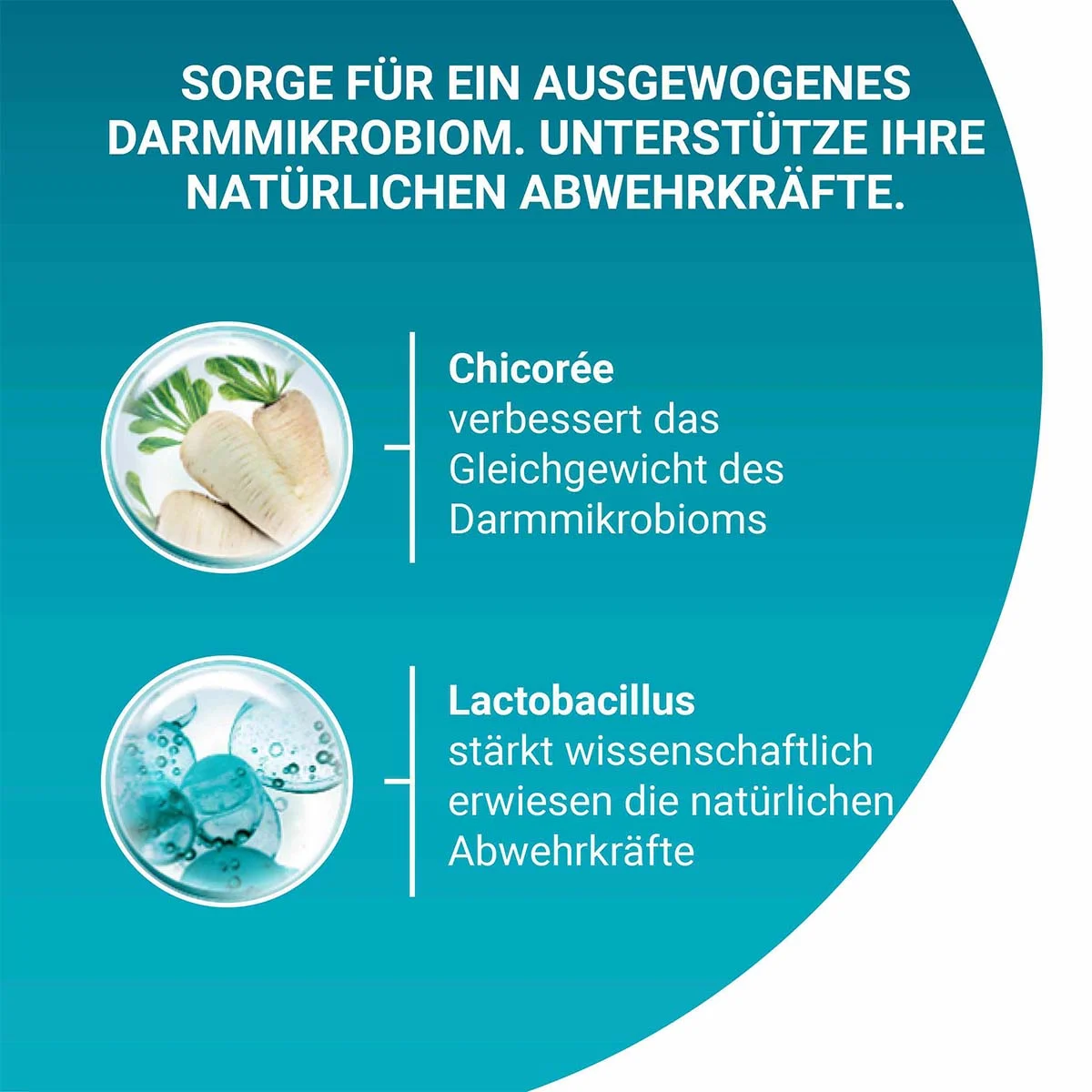 PURINA ONE BIFENSIS SENIOR 7+ Huhn 1,4kg kaufen