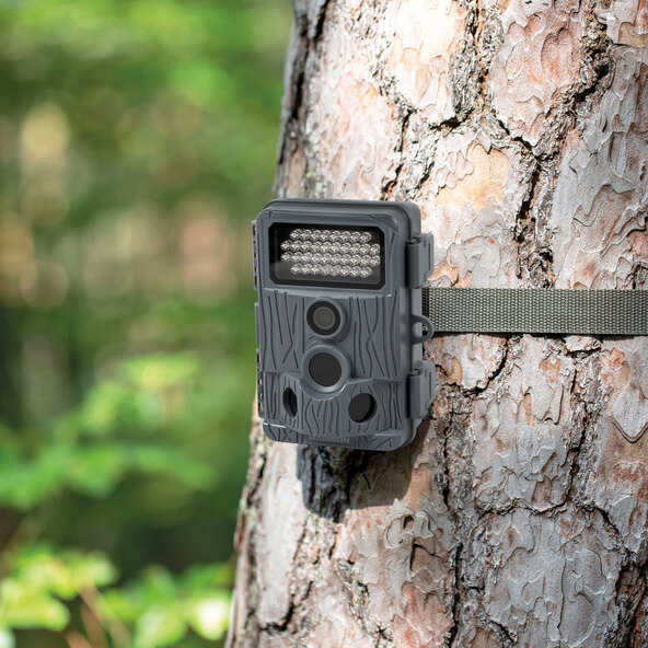Wild-Überwachungskamera WK-400HDW, grau