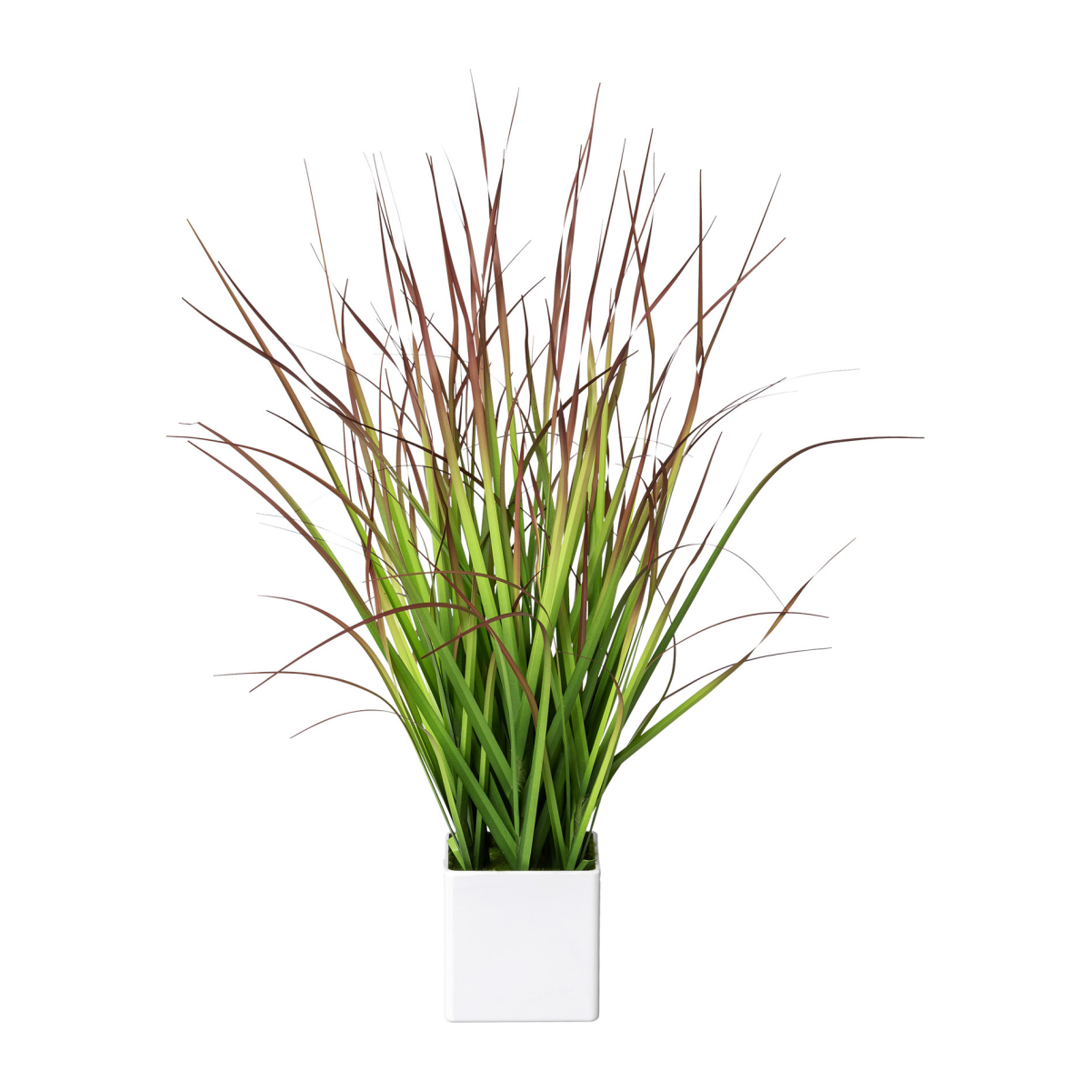 Blutgras Kunstpflanze Grün Rot 46 cm