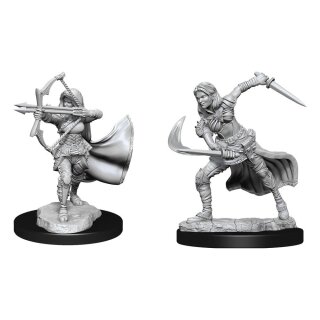 D&D Nolzur's Marvelous Miniatures: Air Genasi Female (2)
