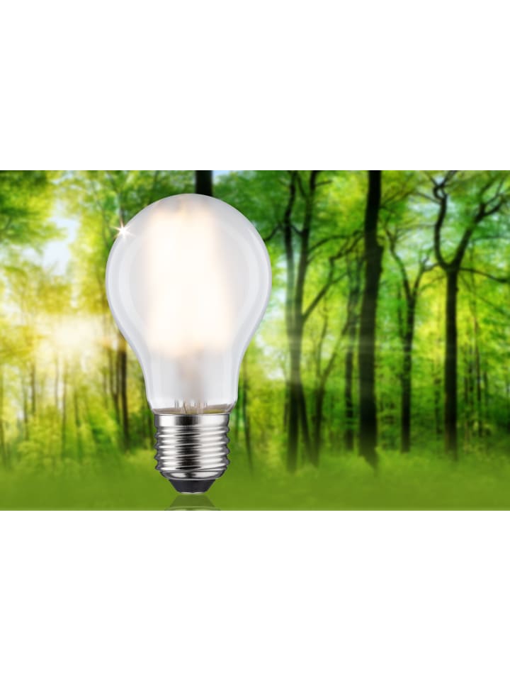 paulmann Eco-Line Filament 230V LED Birne 1er-Set A günstig kaufen onesize