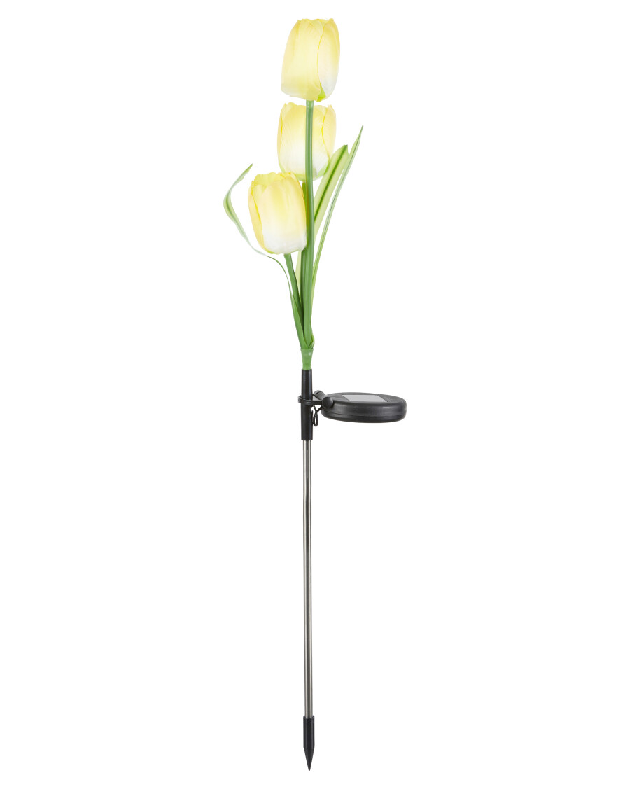 Solarstecker Tulpe