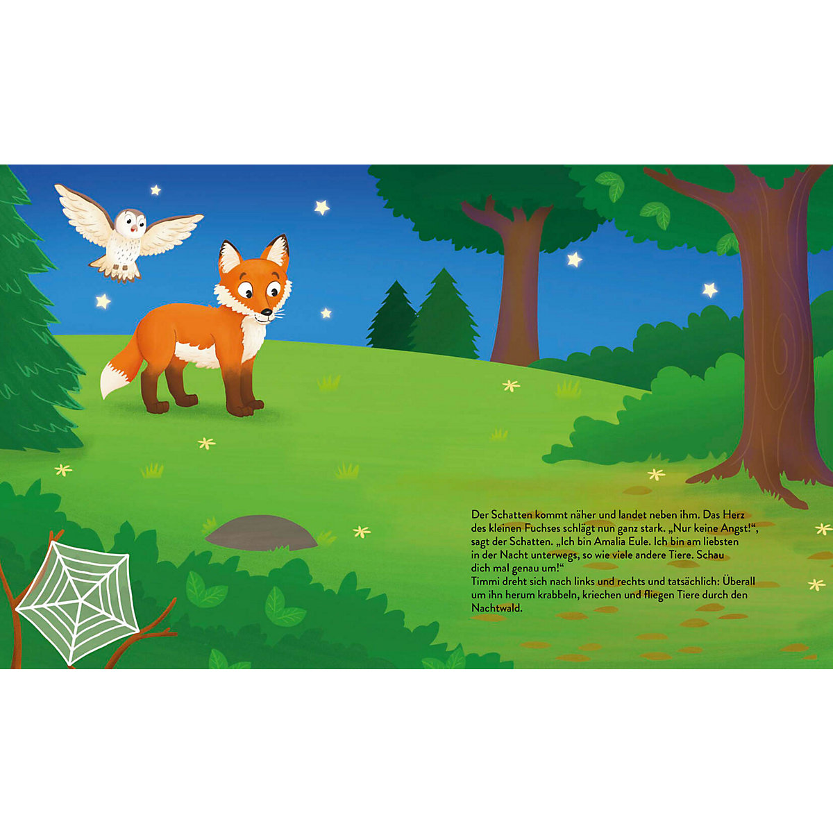 Mit Timmi Fuchs bei Nacht im Wald (Mit UV-Licht-Taschenlampe)