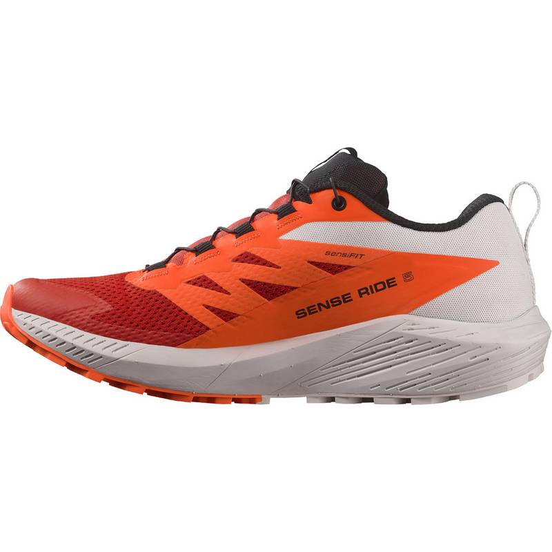 Salomon SENSE RIDE 5 Laufschuhe Herren