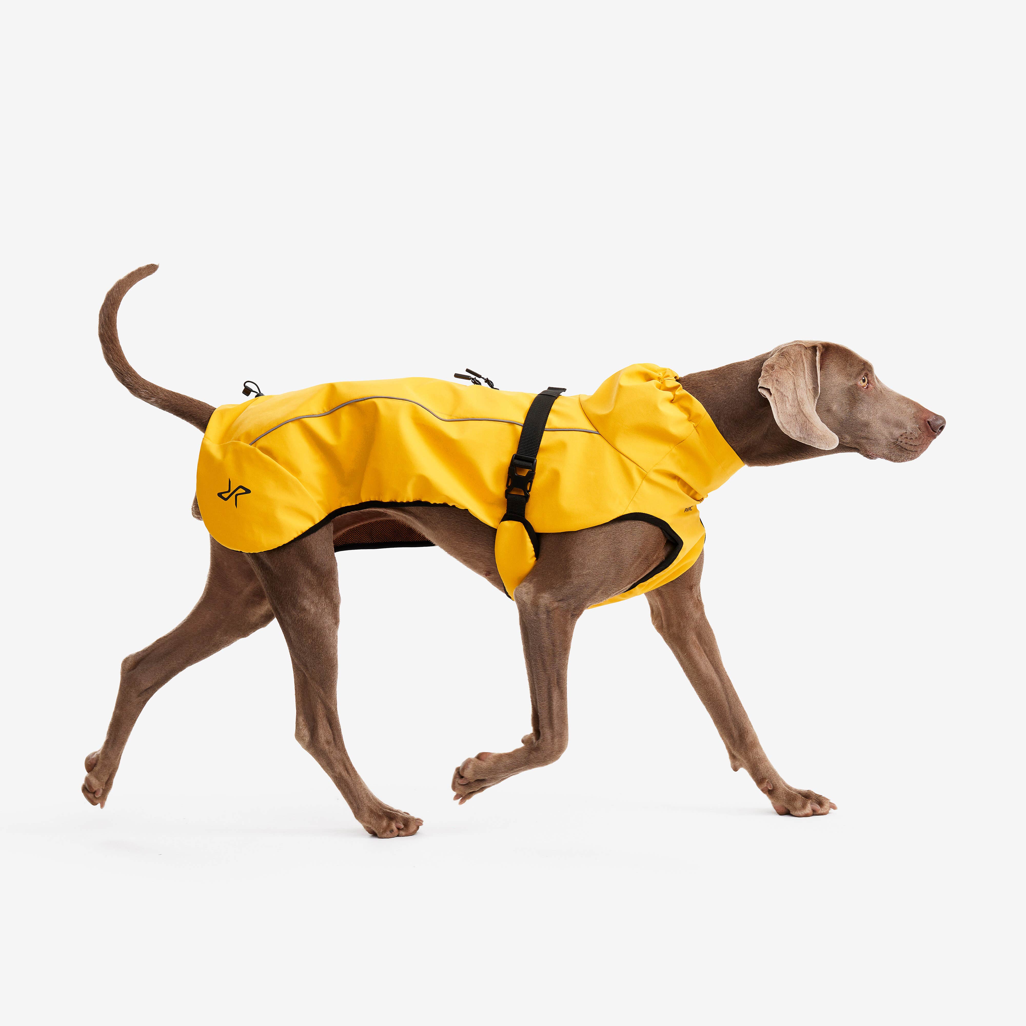 Cyclone Dog Jacket Chien Yellow