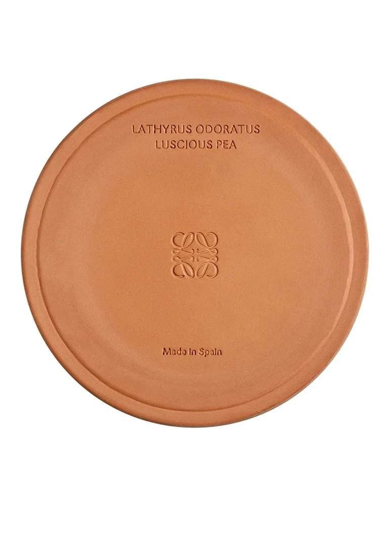 Lumânare parfumată mare LOEWE cu aromă de mazăre - 2120 grame