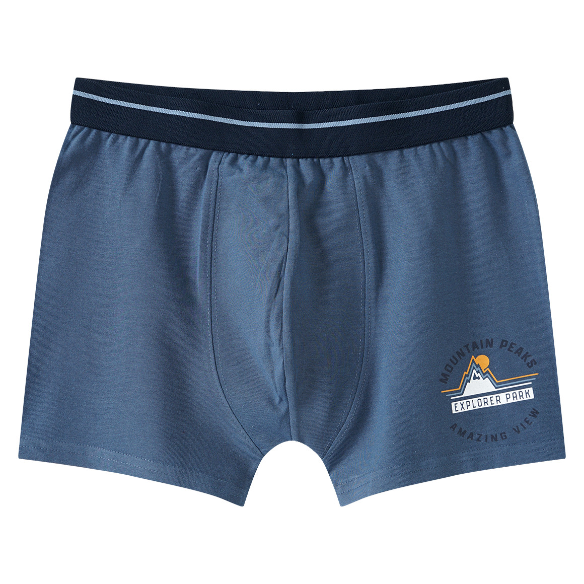 3 Jungen Boxer mit Webbund