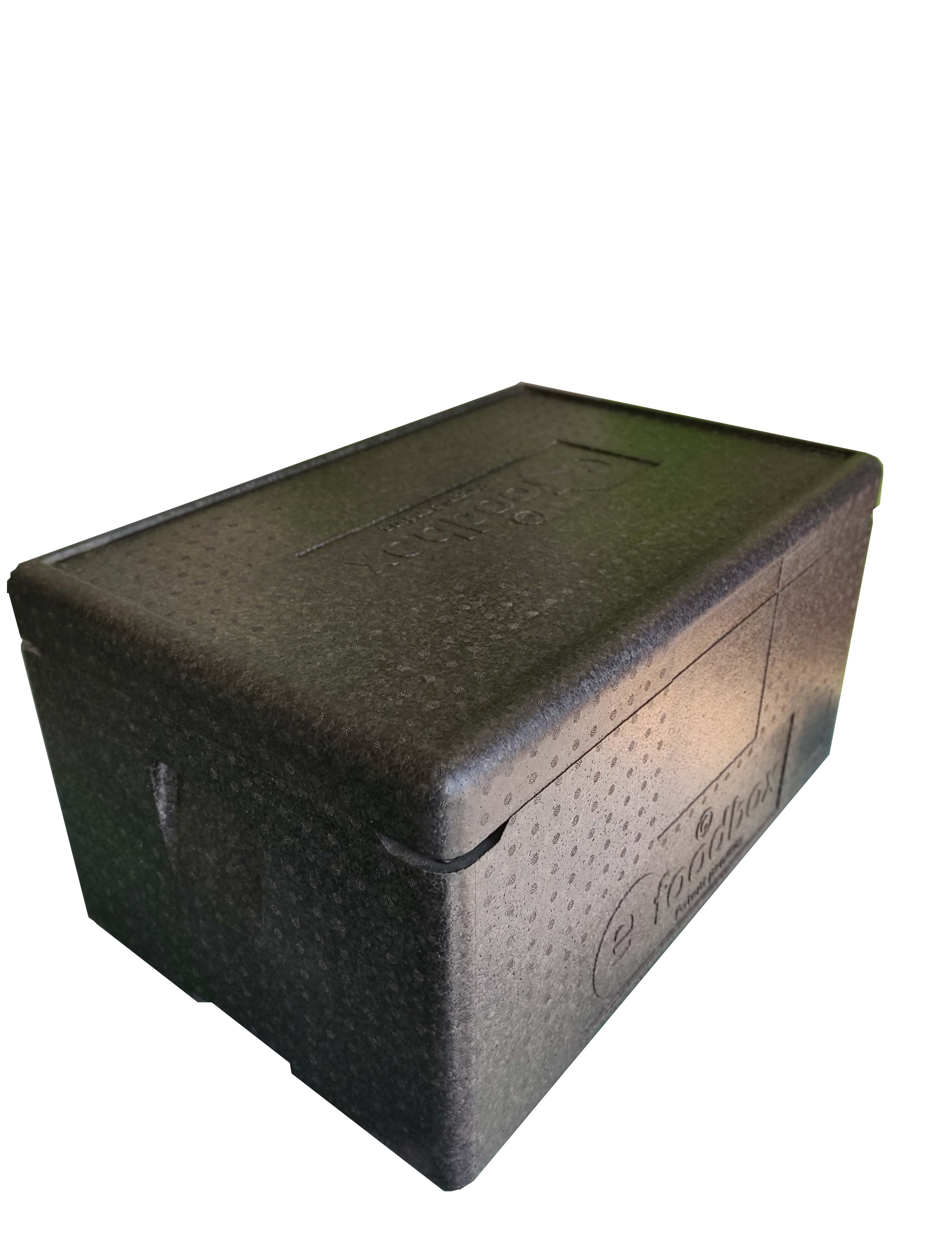 Etheclo Low Kühlbox
