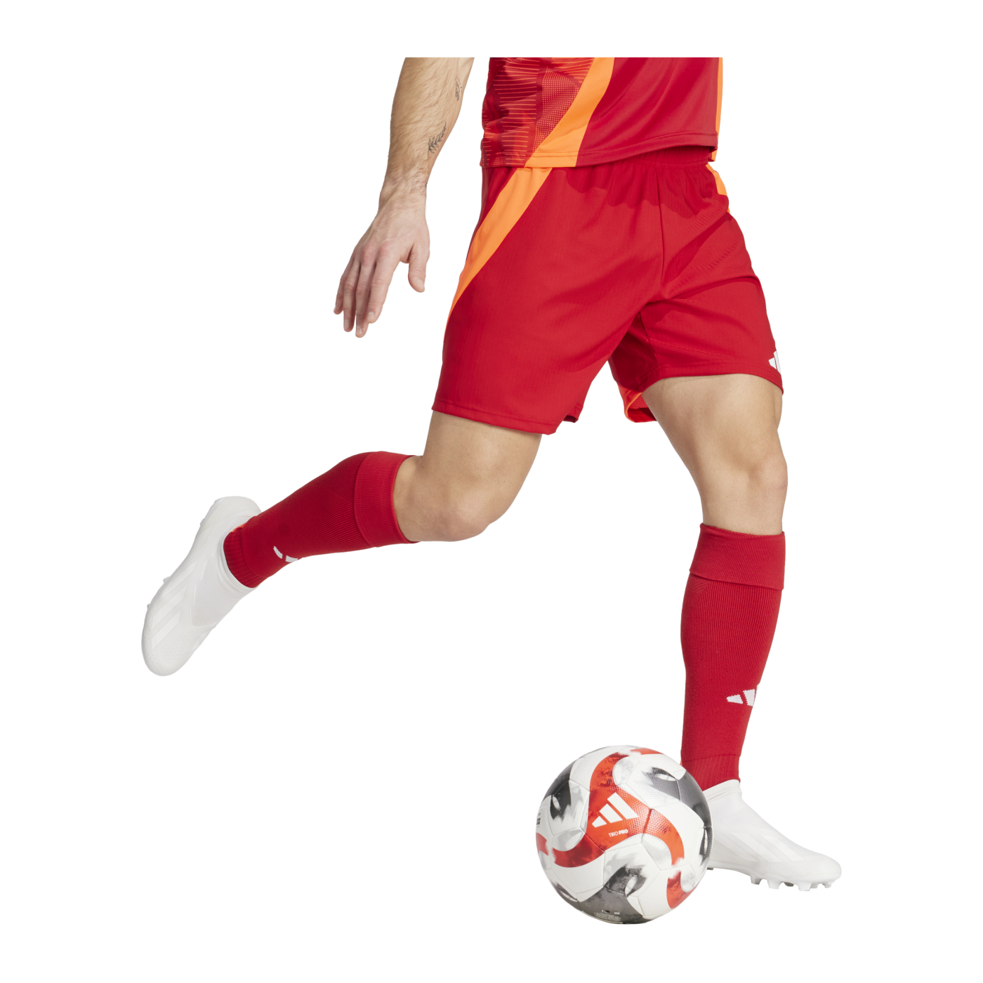 adidas Tiro 24 Competition Match Short Rot
