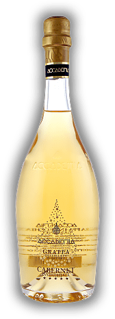 Bottega Club Gialla Accademia Grappa delle Aquile 5 Annate di Cabernet Bottega Club Gialla Accademia Grappa delle Aquile 5 Annate di Cabernet Ein Grappa hergestellt in Erinnerung an eine alte Schule der Destillier-Kunst. 0,7	 Liter - Vol 38%