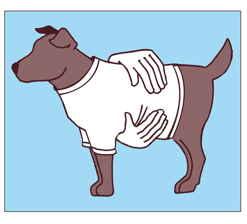 Heim Set mit 2 Stück T-Shirts Gr. 45 schwarz