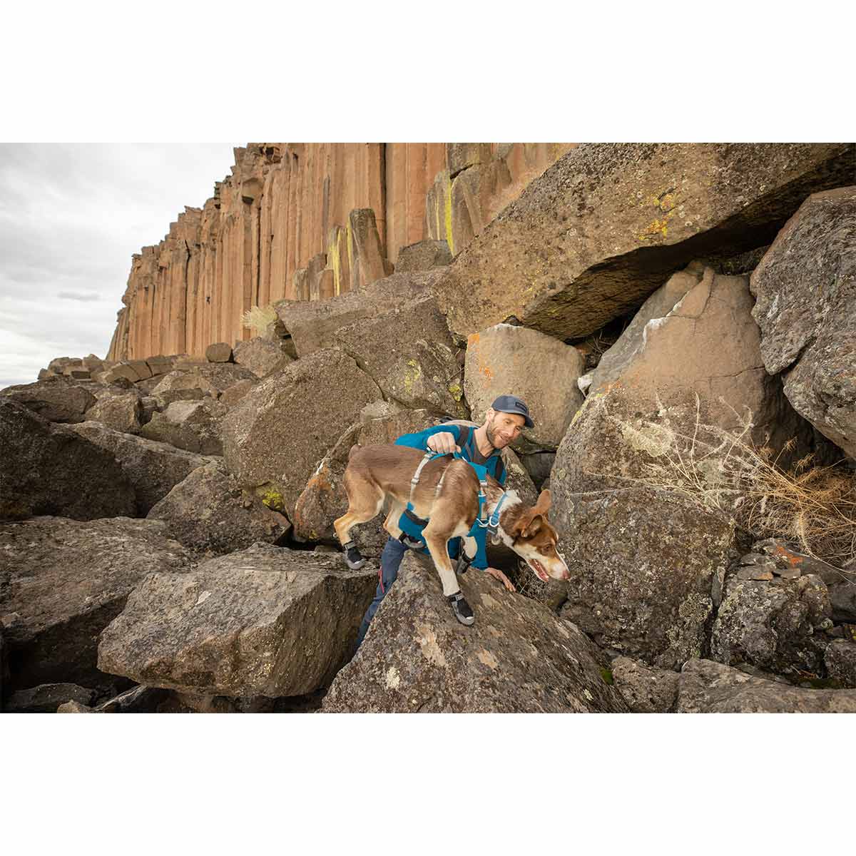 Ruffwear Geschirr Flagline Blue Dusk günstig kaufen bei ZooRoyal