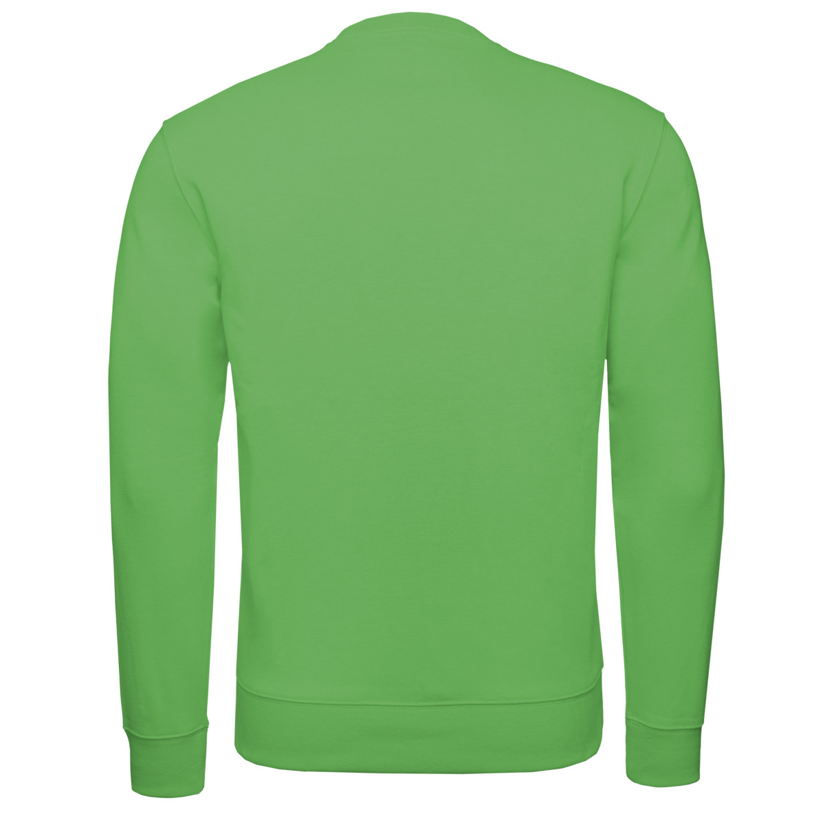 Champion Crewneck Sweatshirt gruen