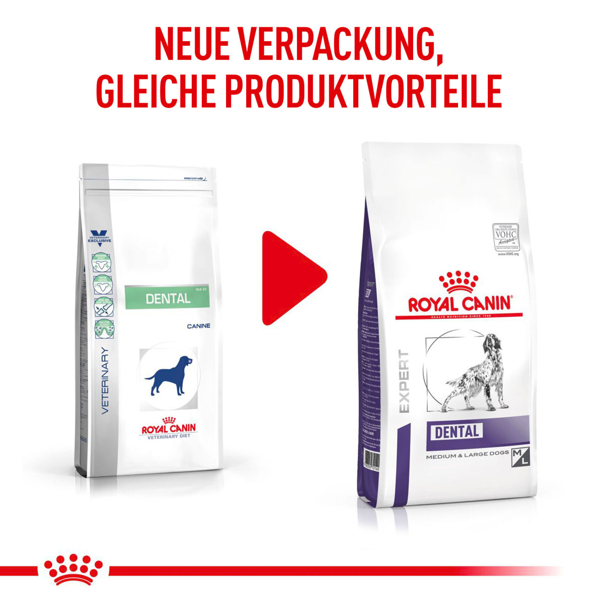 ROYAL CANIN Expert DENTAL MEDIUM & LARGE DOGS Trockenfutter für Hunde
