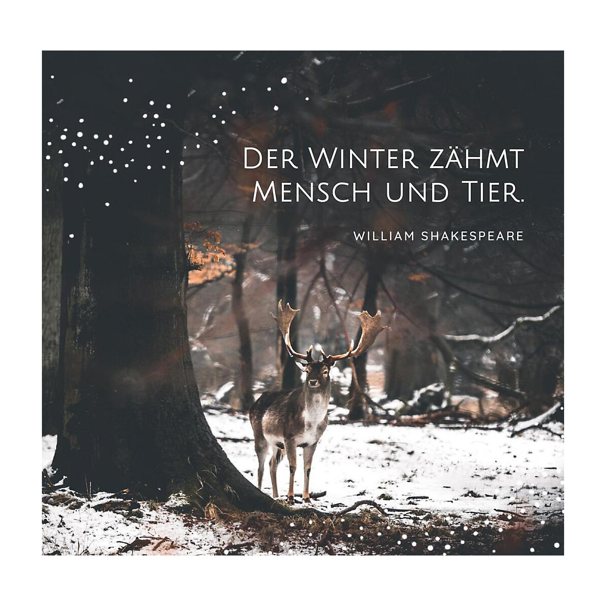 Winternacht und Schneegeflüster. Zauberhaftes zur Weihnachtszeit