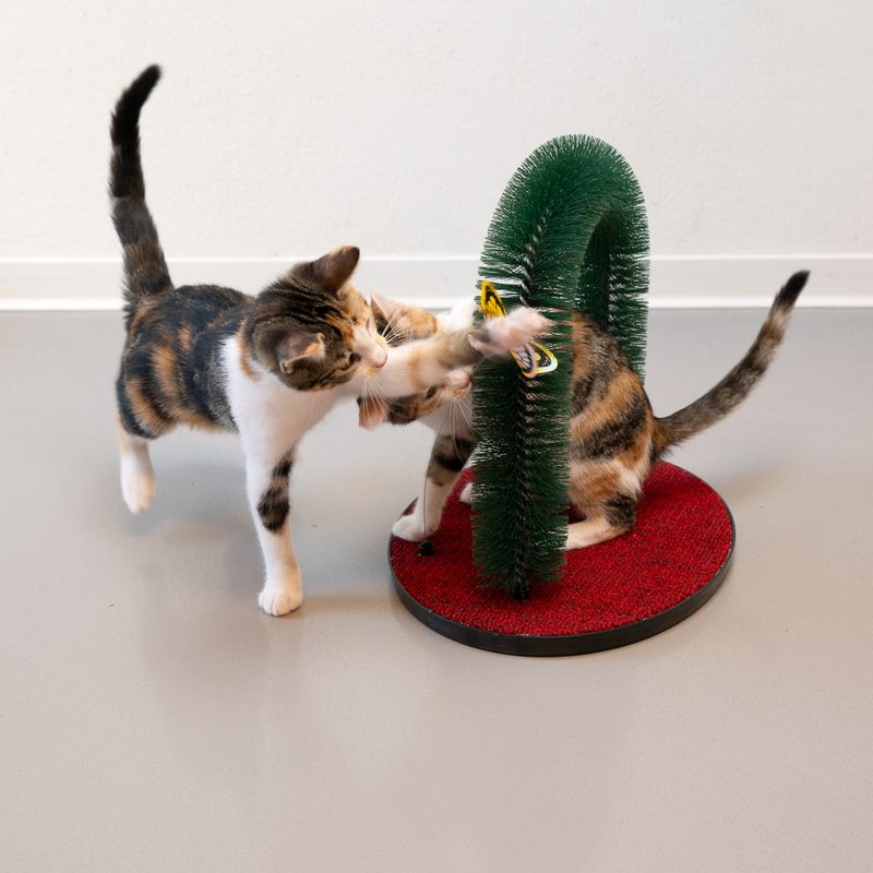 TIAKI Xmas Katzenmassagestation mit Schmetterling
