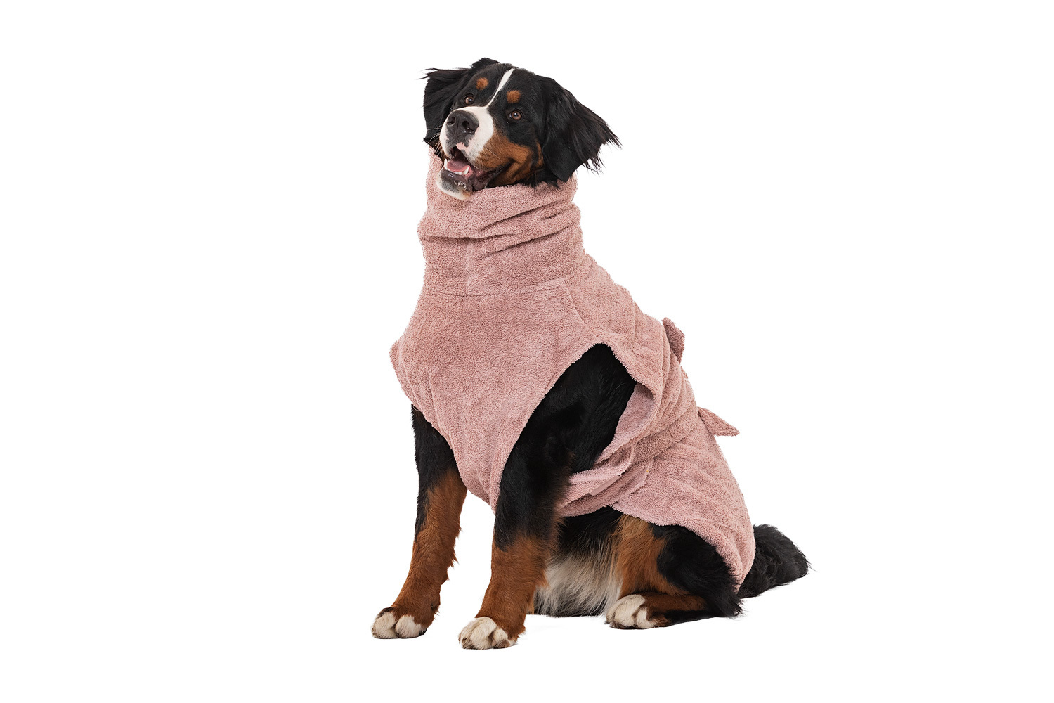 Lills Hundemäntel Lills Lill's Hundebademantel 