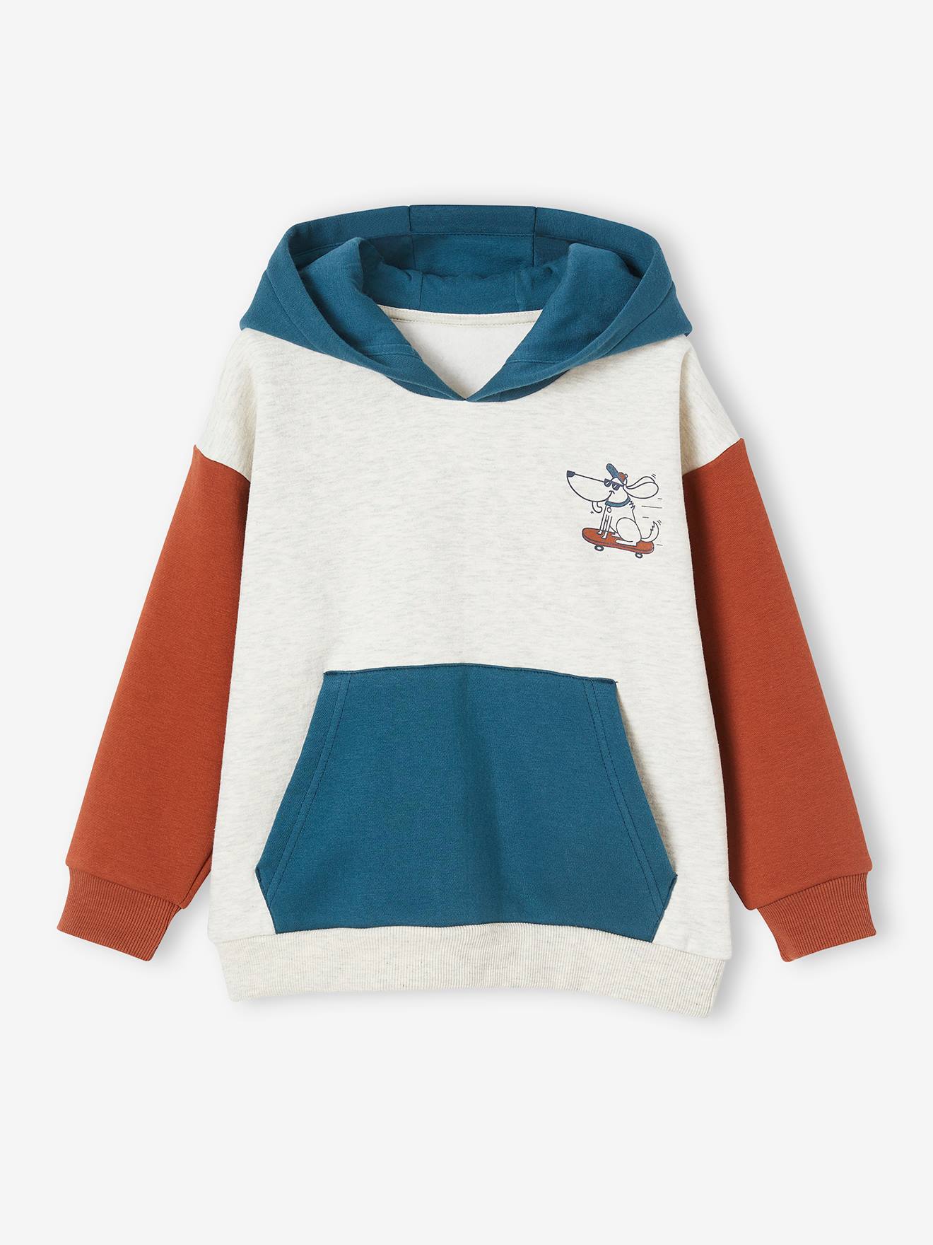 Sweat à capuche colorblock garçon vert